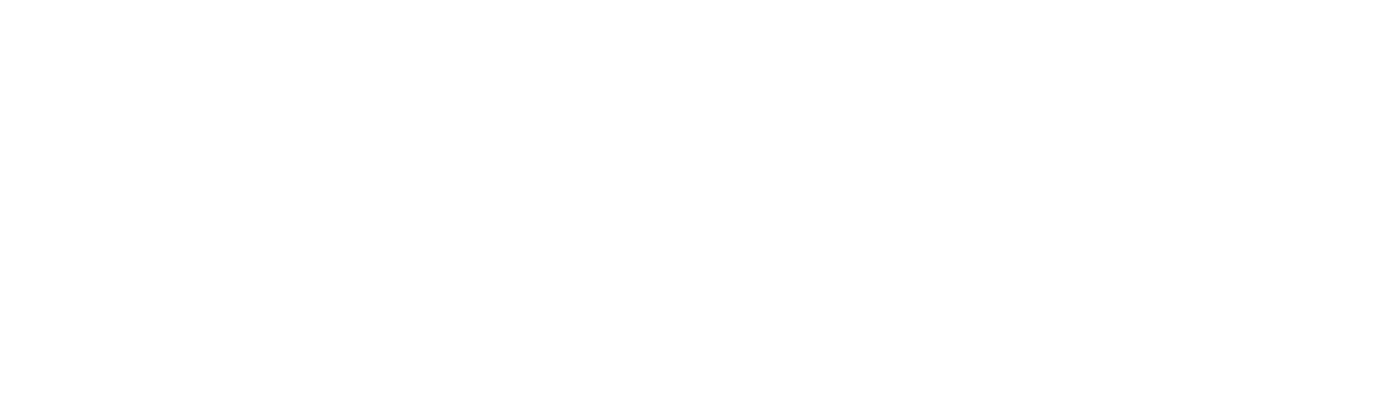 Logo CSN